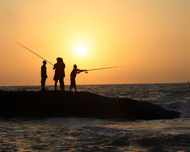 Fishing ban in State from June 1 to July 31