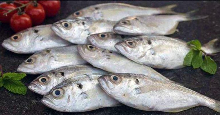 BJP MP Sawaikar takes up fish-formalin issue in Parliament