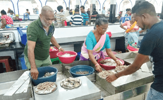 SGDPA Chairperson asks FDA to conduct regular check on all consumables in their market