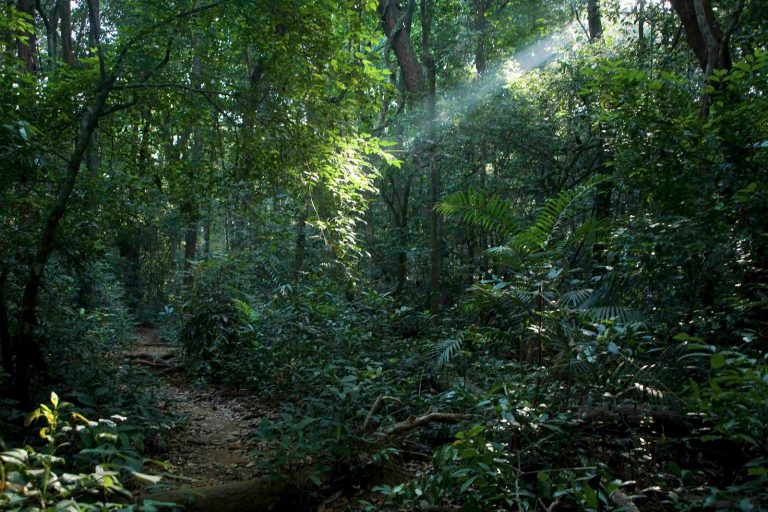 Six months extension to Private Forest Review Committee to submit report