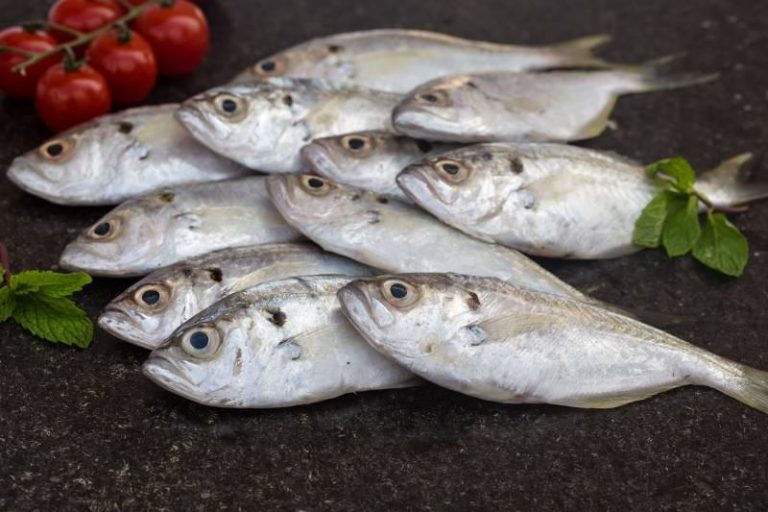 Fish catch in Goa witnesses drop, exports are on rise: Data