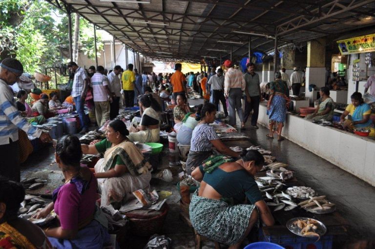 FDA conducts surprise fish check in Panaji and Margao market