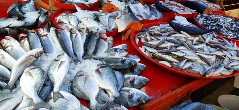 Fish import begins in Goa, nine trucks arrive from Karnataka after FDA permission