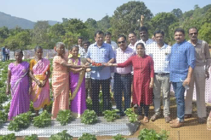 Strawberry cultivation under atal adarsh gram vikar yojana launched at Verlem