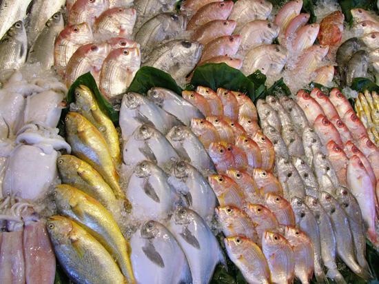 fishes-neatly-laid-out