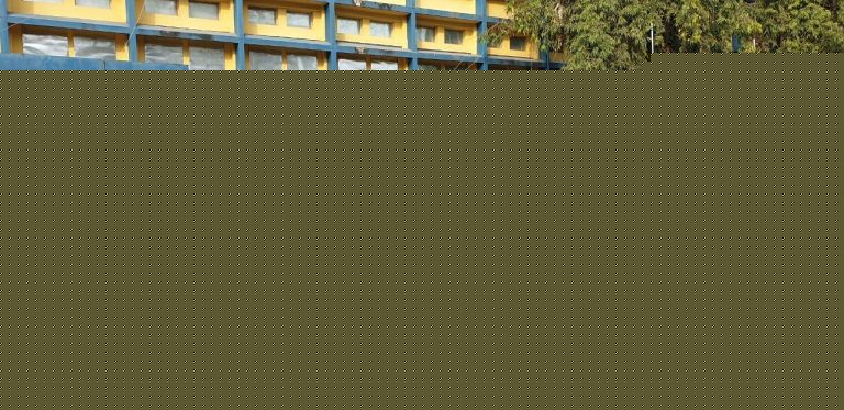 Counting of votes begins in Goa