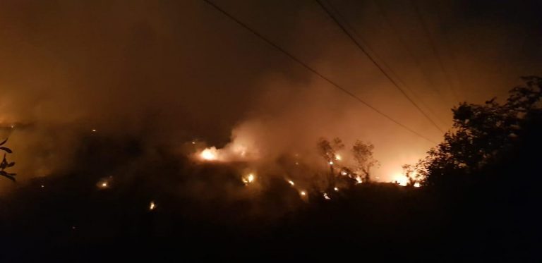 Deputy Chief Minister Vijai Sardesai visits Sonsodo, attempts on to douse fire