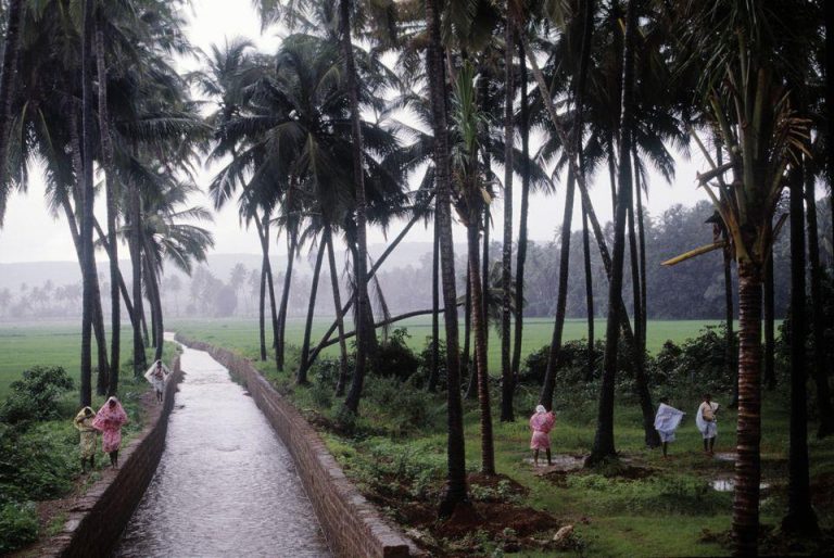 Monsoon to arrive in Goa on June 12