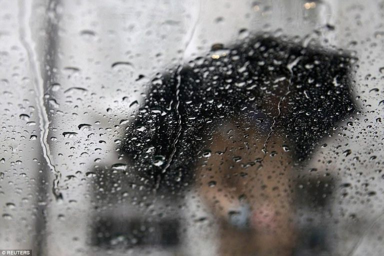 Light to moderate rainfall expected on June 18