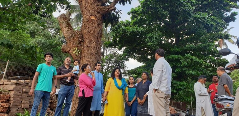 Right thinking Panaji citizens stop cutting of age old tree at St Inez