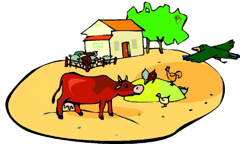 Community Dairy Farming Scheme introduce to boost milk production