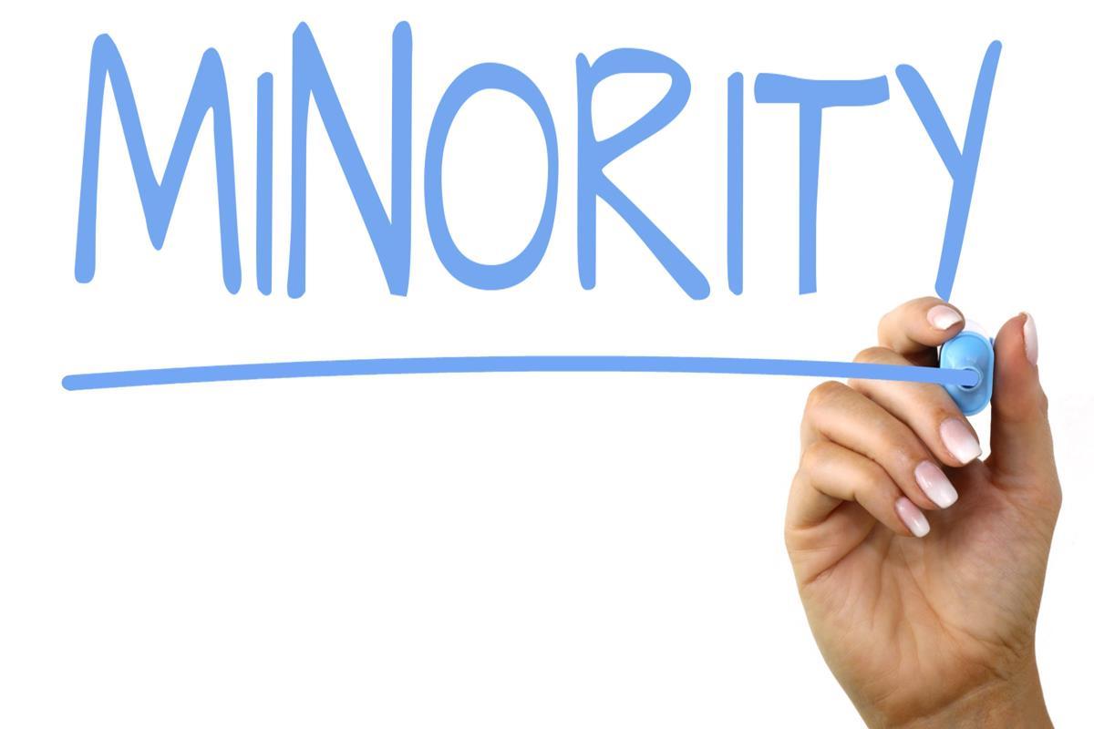 Minority перевод. Minority. Минорити. Minority meaning. Skill Issue PNG.