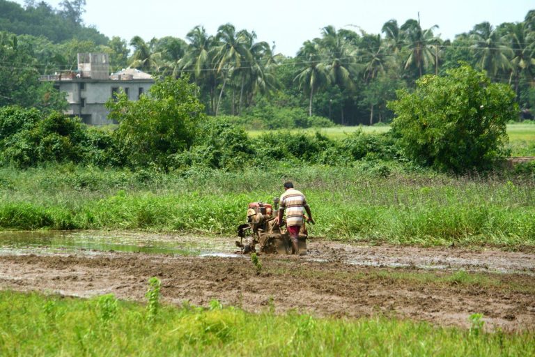 Poor response for Prime Minister’s Crop insurance scheme in Goa