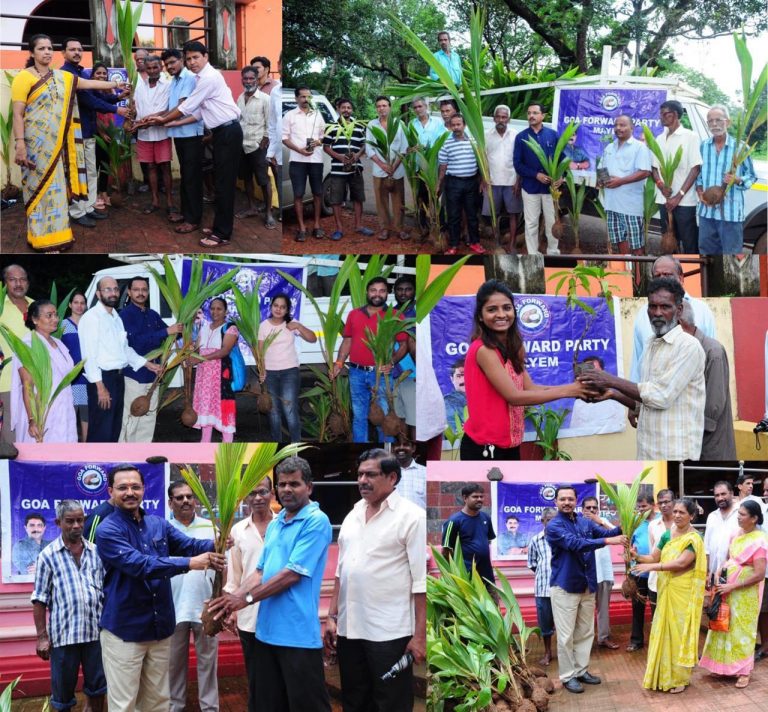Goa Forward Party distributes 3,000 saplings in Mayem constituency
