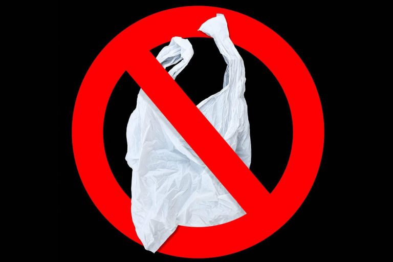 Ban on single use plastic in govt offices from Oct 2
