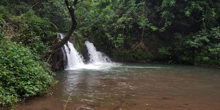 GTDC’s Monsoon Trekking Expedition to Kevani waterfalls this Sunday, 15th September 2019