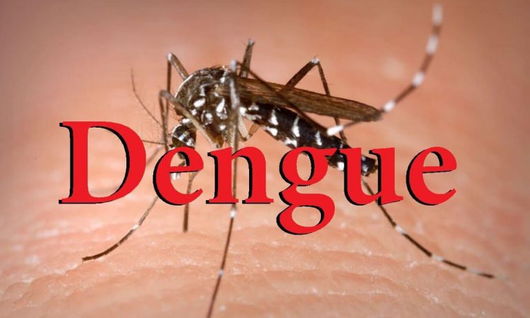 Rohan Khaunte expressed concern over Dengue in Porvorim constituency
