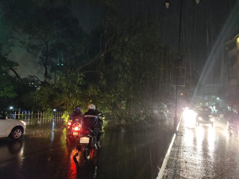 Rains create havoc in Goa