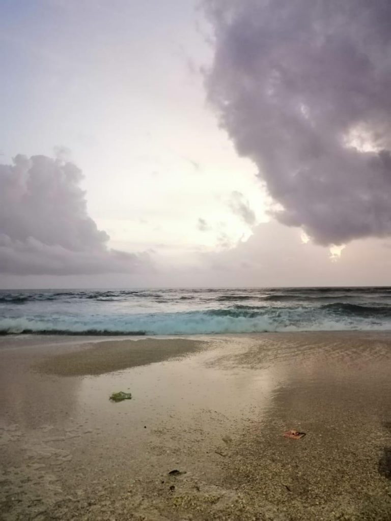 Christmas season looks dull in Goa, thanks to CAA protests