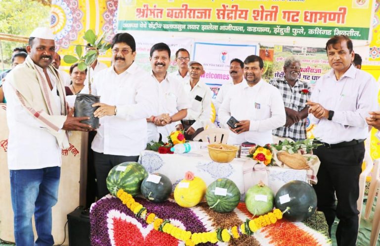 रत्नागिरी जिल्ह्यातल्या धामणीतील बळीराजा गटाच्या कलिंगडांची दुबईत निर्यात  तरुणांचा भर शेती उत्पादनांवर, ममता शिर्के या तरुणीचे धाडस