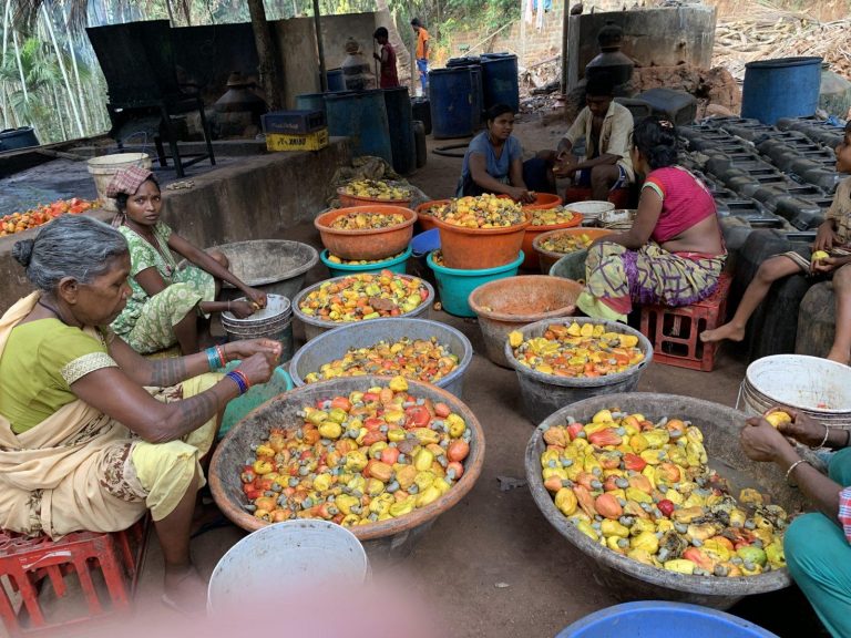 Feni: Lobo to request CM to reduce tax, Sardesai questions whose idea was it