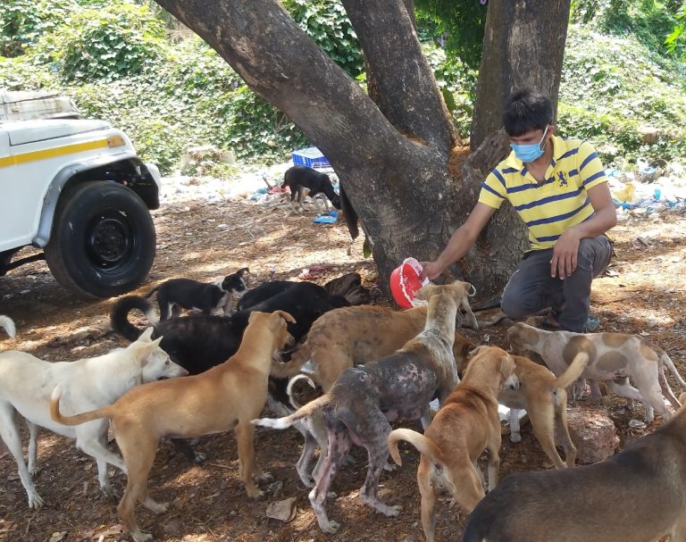 When dogs were left to starve, here comes a good Samaritan