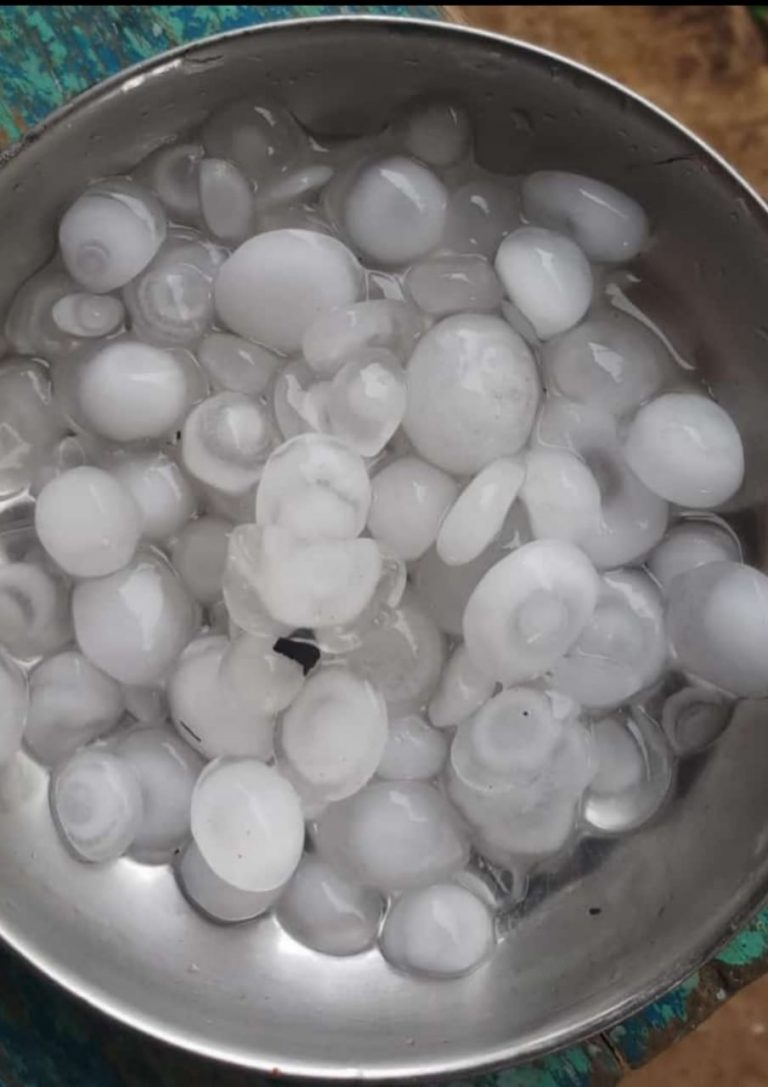 सिंधुदुर्गात जोरदार गारपीट,बागायतदारांचे नुकसान, शेतकऱ्यांची पचनाम्याची मागणी