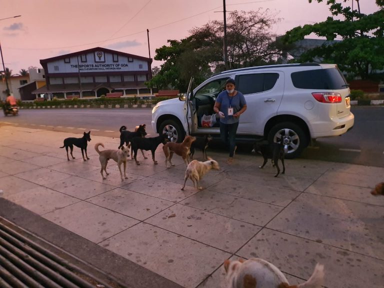 Extended lockdown leaves animal lovers worried in Goa