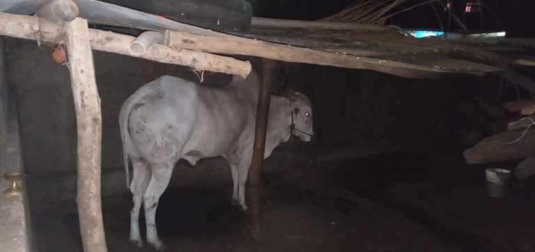 Colva police bust illegal slaughter house at Benaulim, one booked