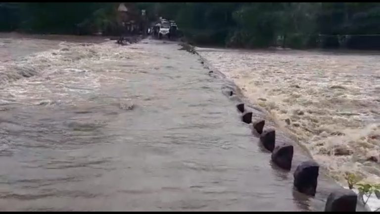 सिंधुदुर्गात मुसळधार पाऊस  नद्या, नाले भरून वाहू लागलेत