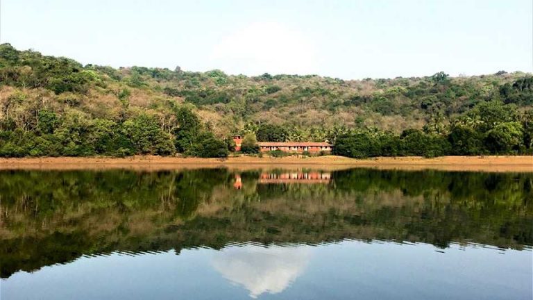 सिंधुदुर्गातील वेटलँड पाहता येणार आता एका क्लिकवर