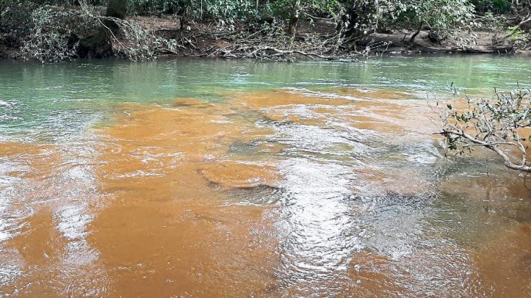कळणे नदी प्रदुषित, गोव्यातील चांदेलसह इतर पाणी योजना अवलंबून असल्याने पाण्याचे प्रदुषण रोखण्याची गरज