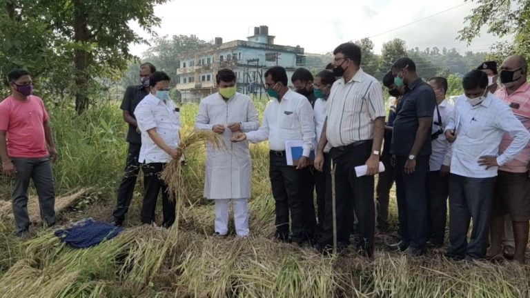 कसणाऱ्यालाही मदत मिळाली पाहिजे हे शासनाचे धोरण, पालकमंत्री उदय सामंत यांची माहिती, खारेपाटण तलाठ्यावर दिले कारवाईचे आदेश  शेतकरी माहिती देतील तसेच पंचनामे करण्याचे दिले आदेश