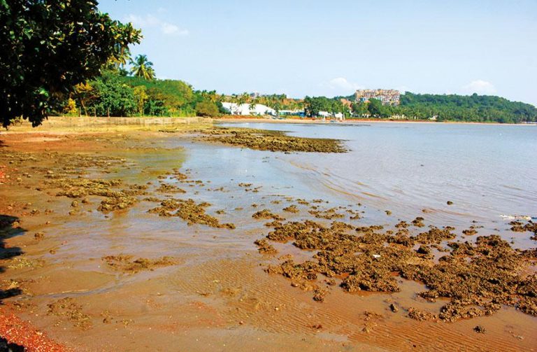 Goenkar Against Marina to hold Public Meeting on November 08