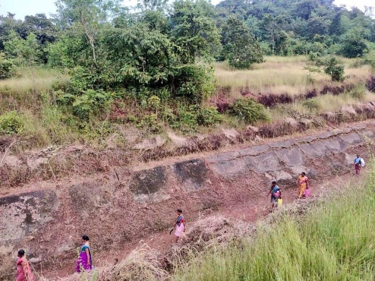 Tillari Irrigation canal cleaning, desilting work going on smoothly: CM