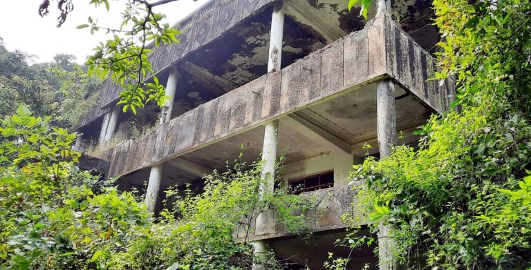 डॉन दाऊद इब्राहिम याच्या मालमत्तेचा होणार लिलाव