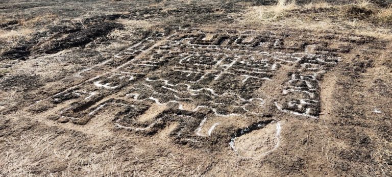 सिंधुदुर्गात अश्मयुगीन पाऊल खुणा, नव्याने पुन्हा सापडले कातळशिल्प