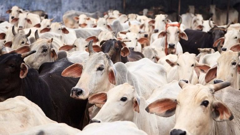 Anti-cow slaughter Bill passed in Karnataka Assembly 