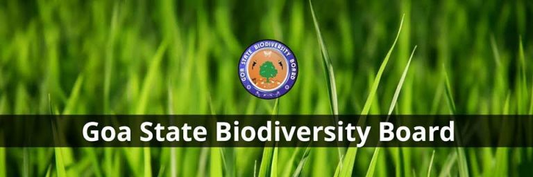 GSBB proposes ‘Green Tax’ on tourism to combat climate change   Anwesha Ghosh