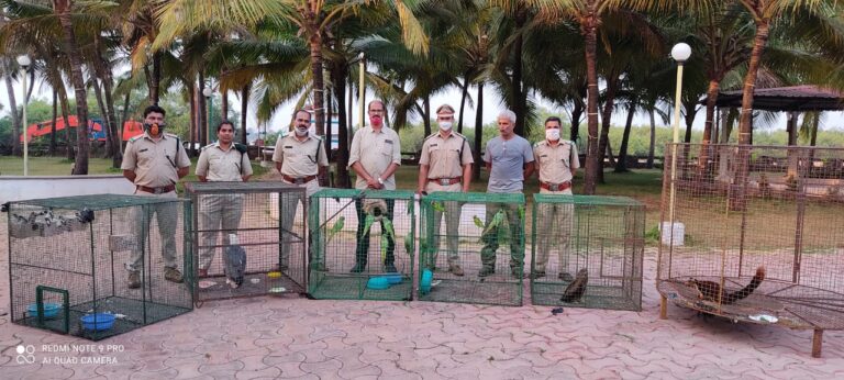 Five people arrested for keeping wildlife in captivity at Varca, Owner of Open Air Hall absconding