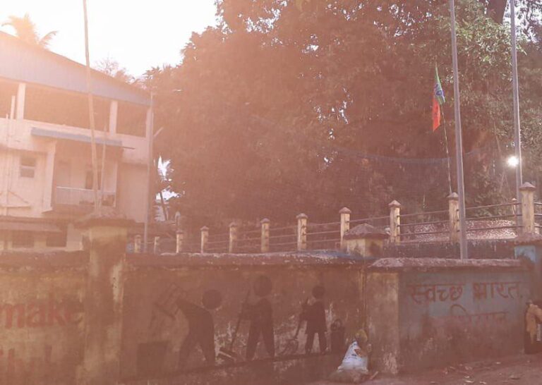 BJP flag in Ponda garden, GFP taunts whether this is property grab plan