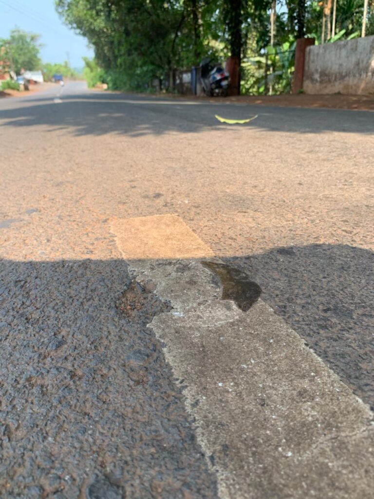Political leaders in Goa demand longer lockdown