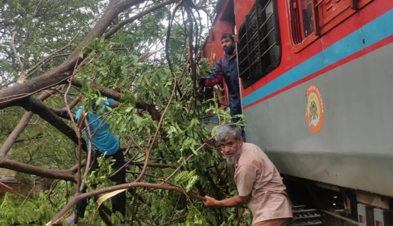 गोव्यातकोकण रेल्वे मार्गावर झाड कोसळले  गोव्यातील अनेक भागात वीजपुरवठा खंडित