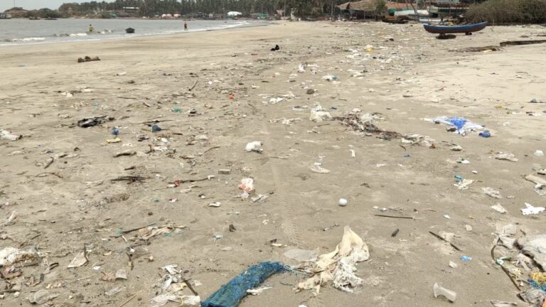 प्लास्टिक कचऱ्यामुळे समुद्री जीवन धोक्यात, सागरी जीव शास्त्रद्न्य डॉ. सारंग कुलकर्णी यांनी मंडळी भीषणता