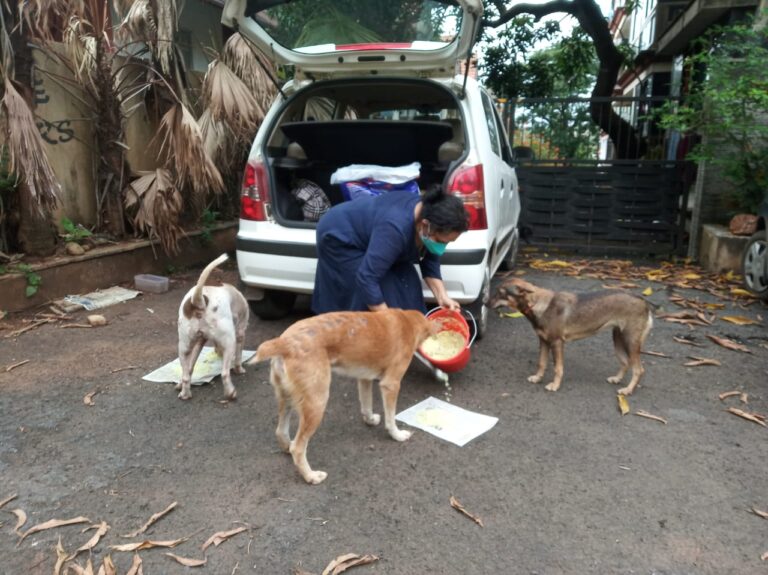 How feeding stray dogs becomes full responsibility for this woman? Read on          By Ketan Golatkar and Hanumant Nagloor