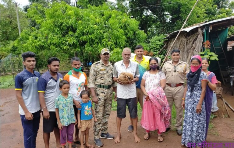 सर्जेकोट गावात जाळ्यात अडकलेल्या स्थितीत सापडले खवले मांजर  जागतिक पर्यावर दिनी खवले मांजरास जीवदान