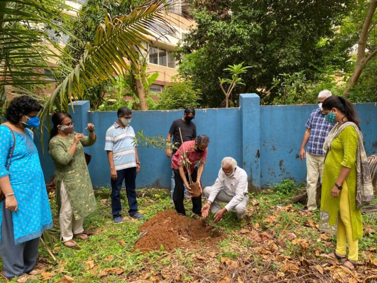 V. M. Salgaocar Corporation Pvt. Ltd. Celebrates World Environment Day by Conducting Plantation Drive at all its Locations