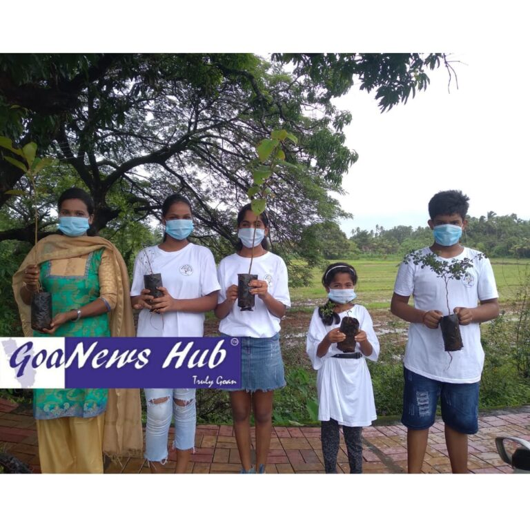 Mandev Foundation distributes saplings to Saligao locals