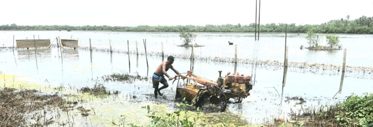 Cultivation Process with power tiller started at Dongari in uncultivated lands