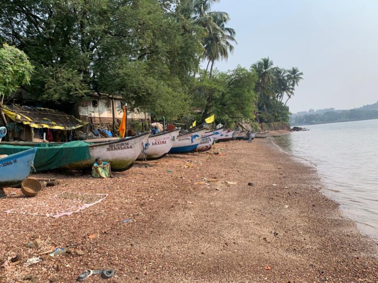 Fisheries’ Union claims dept is not acting against illegal trawling in Zuari River